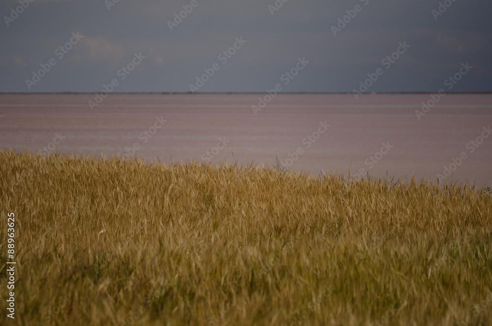 Tuz Golu (Salt Lake), Central Anatolia Region,Turkey Tuz Golu (Salt Lake), Central Anatolia Region,Turkey