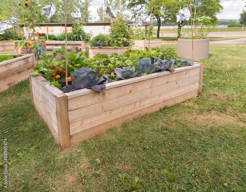 Raised beds in Community Garden