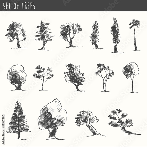 Trees sketch set, vintage vector style, hand drawn