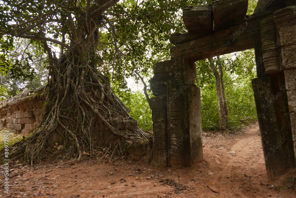 Angkorian temple in the jungle Angkorian temple in the jungle