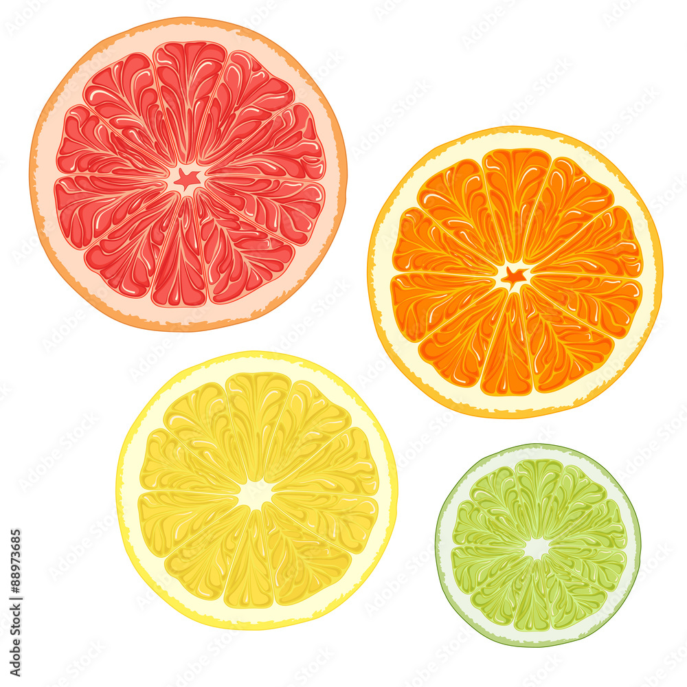 Set of color illustrations with citrus fruits. Isolated vector objects on a white background. Set of color illustrations with citrus fruits. Isolated vector objects on a white background.