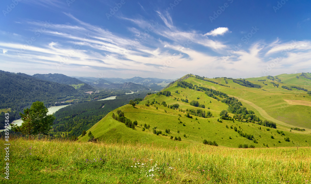Beautiful Summer Landscape: Mountains Covered by Trees