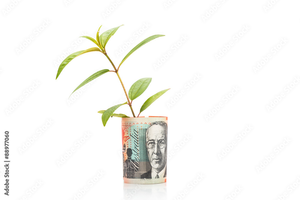 Concept of green plant grow on Australian Dollar currency note Concept of green plant grow on Australian Dollar currency note