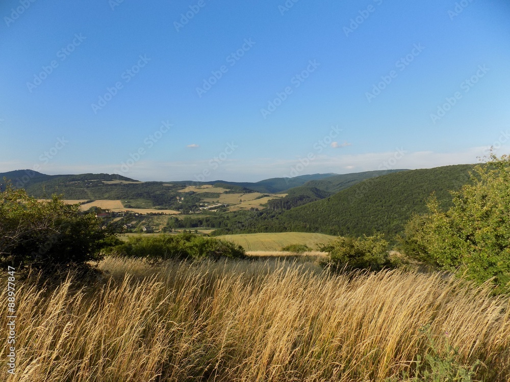 Meadow, fields, forests and blue sky