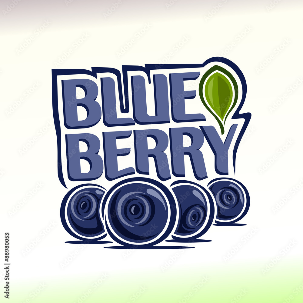 Vector illustration on the theme blueberry