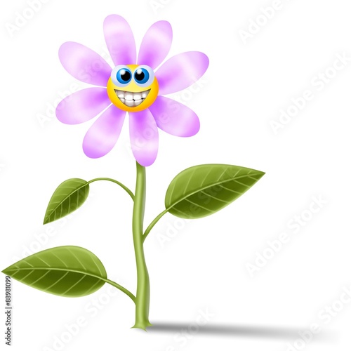 Fototapeta Naklejka Na Ścianę i Meble -  margherita