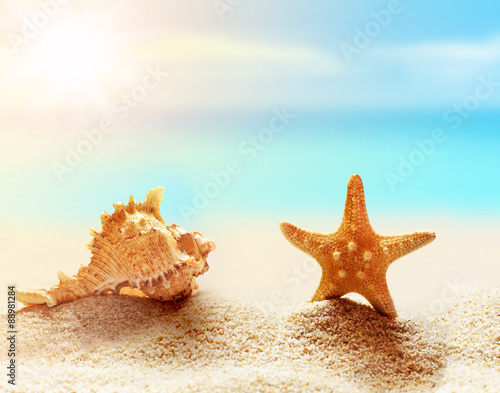 Starfish and seashell on the beach. Summer time