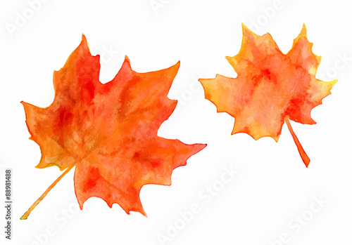 Canvas Print Watercolor maple leaves
