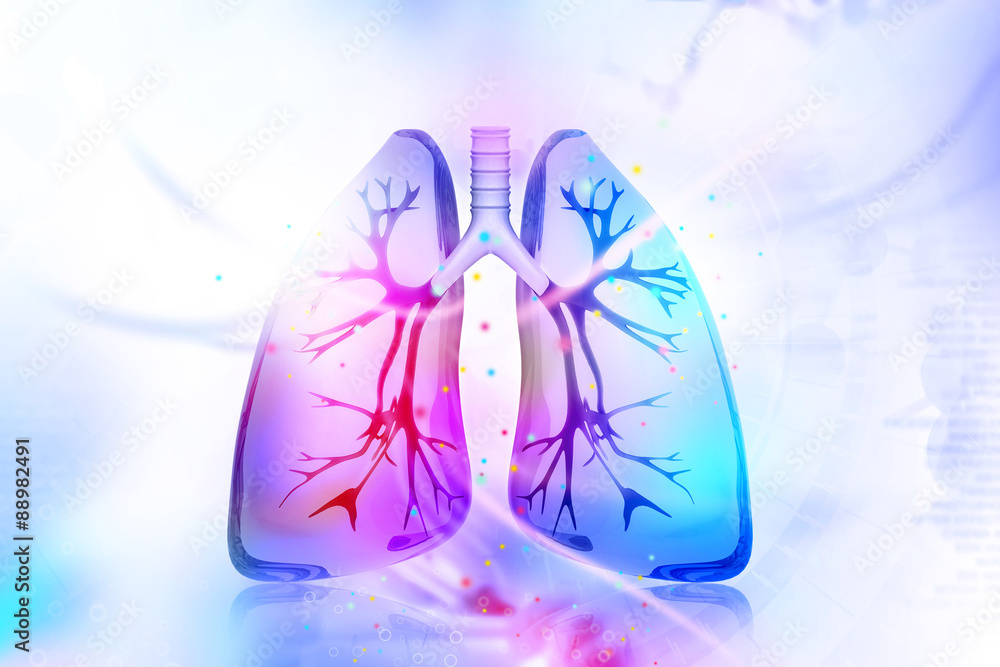 © hywards - Human lungs © hywards - Human lungs