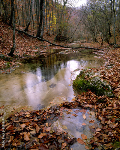 autumn scene with water