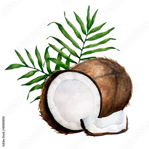 coconut composition