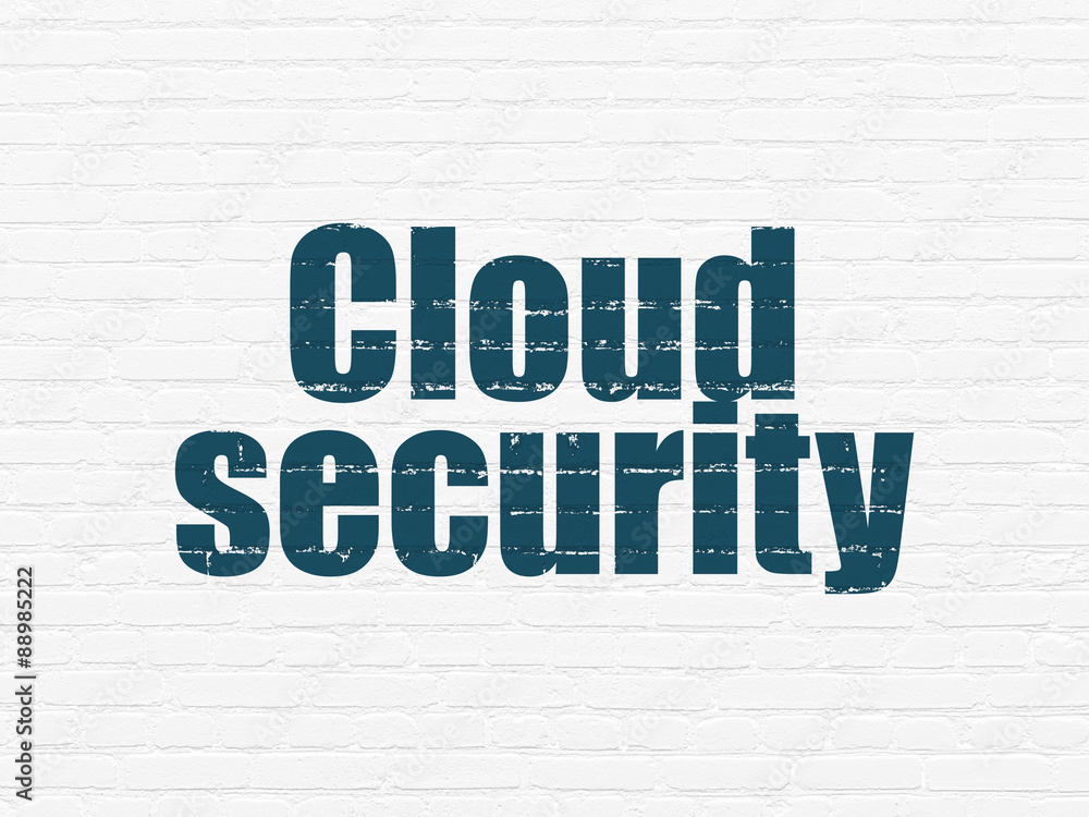 Cloud technology concept: Cloud Security on wall background