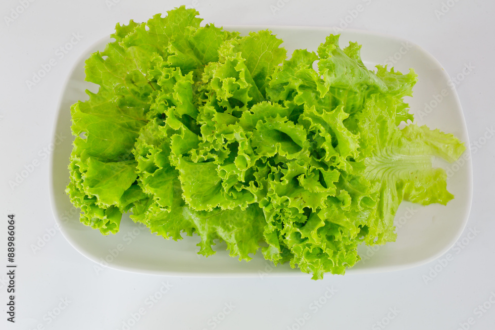 Fresh green lettuce isolated on a white background Fresh green lettuce isolated on a white background