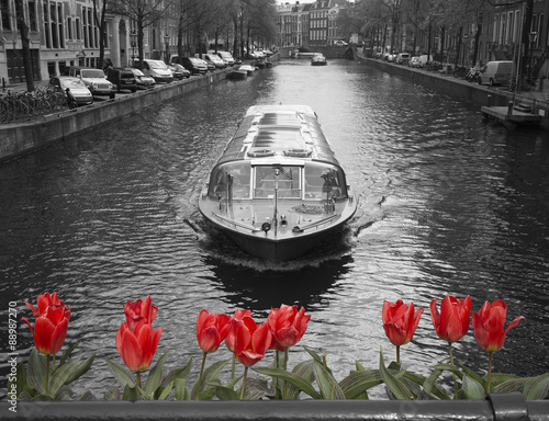 Photography black and white image of an amsterdam canal with red tulips