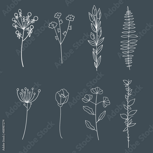 Hand drawn vintage elegant floral elements.