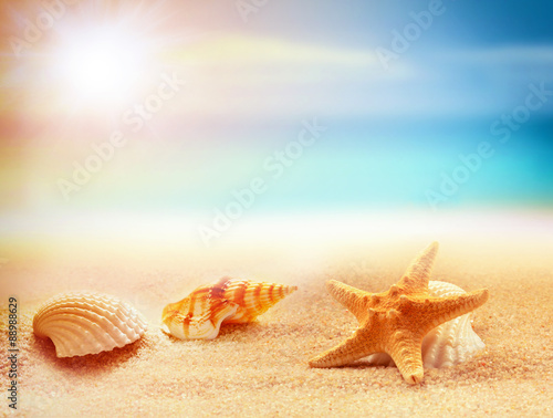 Starfish and seashells on the sandy beach. Summer time. 