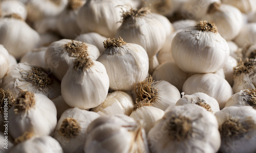close up of garlic background