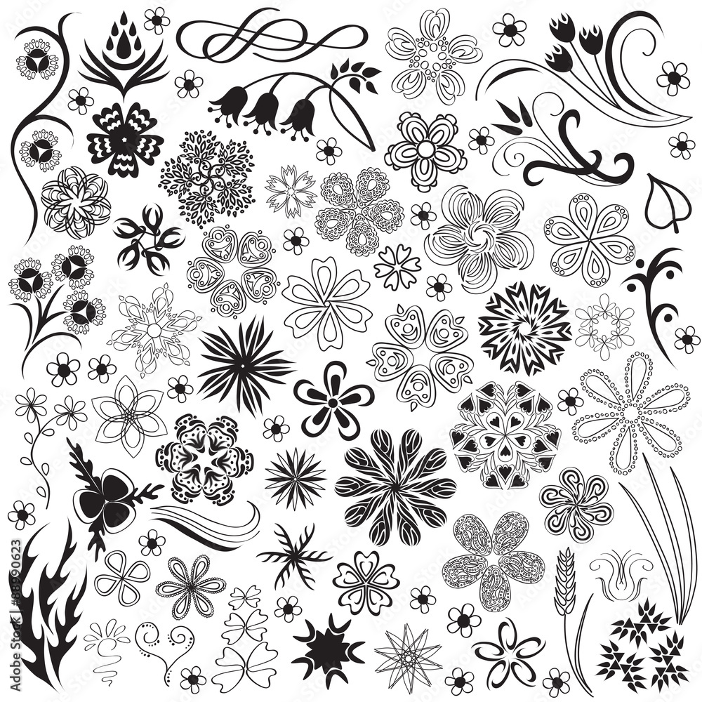 Floral graphic elements for design. Vector.