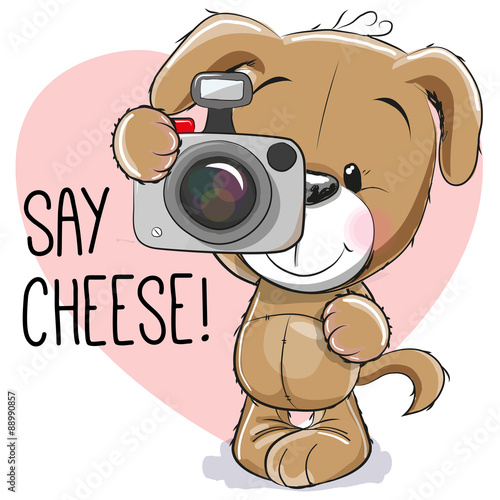 Puppy with a camera