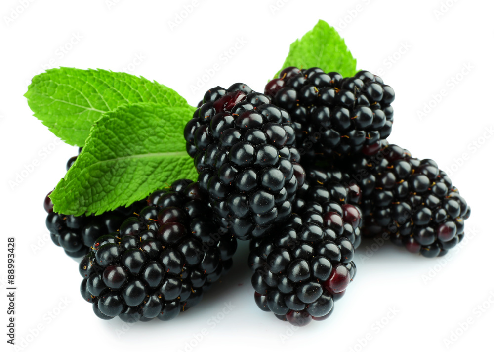 Sweet blackberries with mint isolated on white Sweet blackberries with mint isolated on white