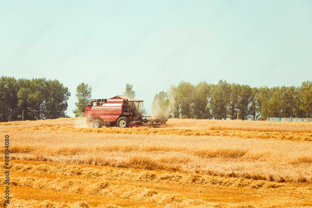 Obraz premium combine harvester