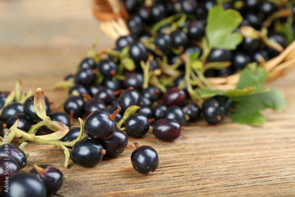 Fresh black currants in wicker basket on wooden table, closeup Fresh black currants in wicker basket on wooden table, closeup