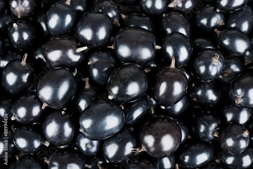 Heap of wild black currant close up