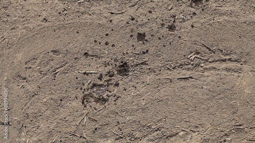 rain is dripping down on a very dry soil