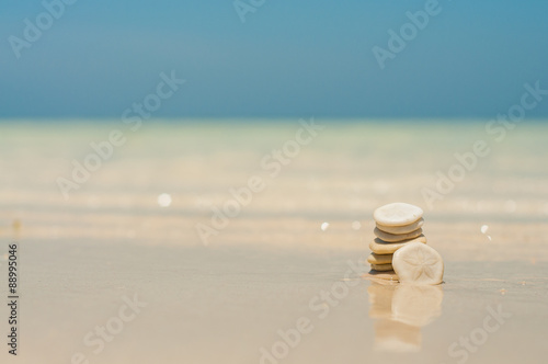 Sand Dollar Stack