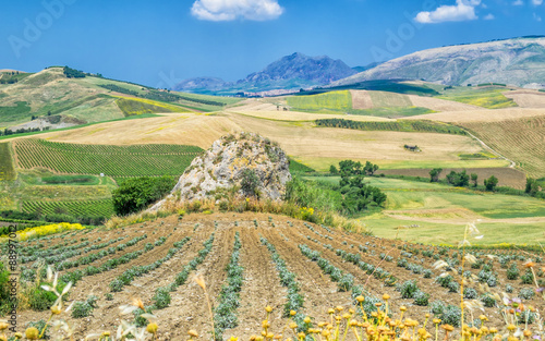 Sicilian countryside in the vicinity of Corleone