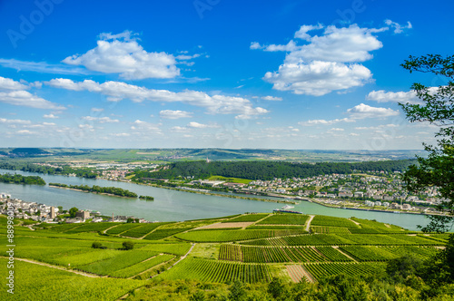 Rhine river and green vineyards near Bingen am Rhein