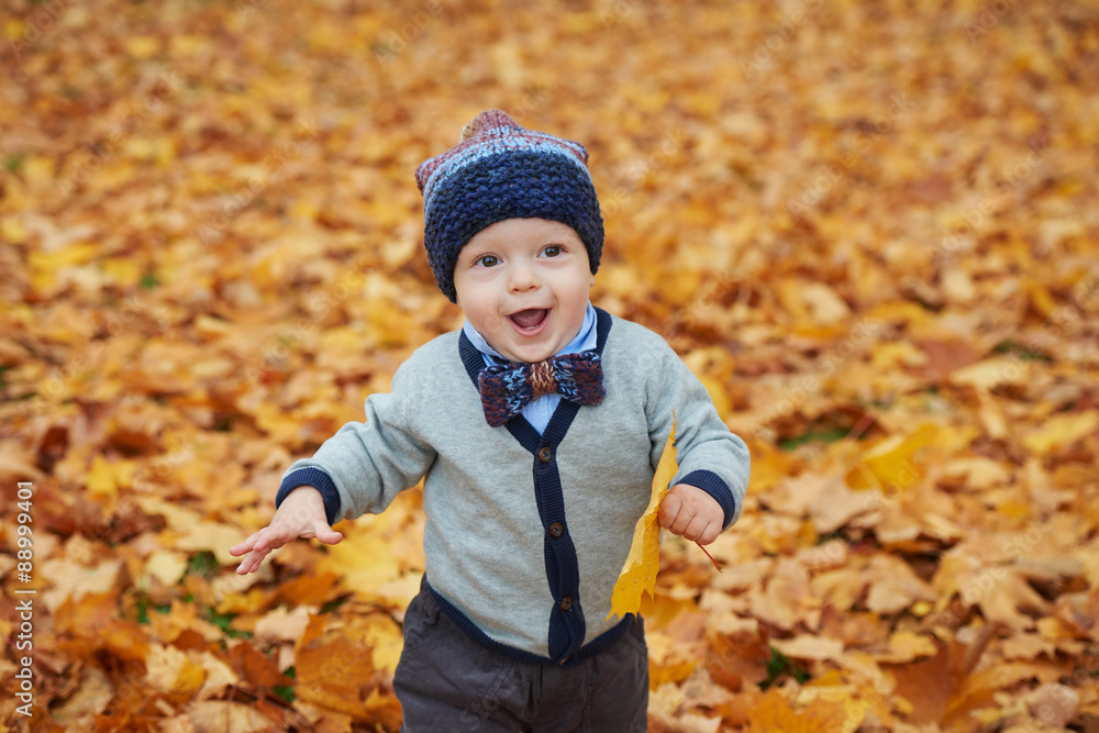 cute little baby in autumn park cute little baby in autumn park