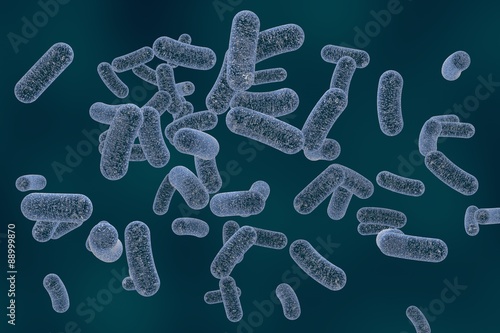 Canvastavla Microscopic illustration of bacteria, model of bacteria, realistic illustration