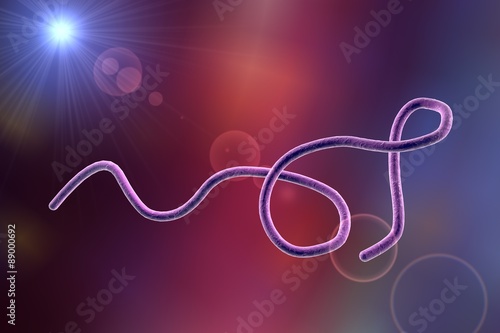 Digital illustration of Borrelia bacteria on colorful background, model of microbes, bacteria which cause relapsing fever, Lyme disease, transmitted by ticks, spiral bacteria, spirochaetes