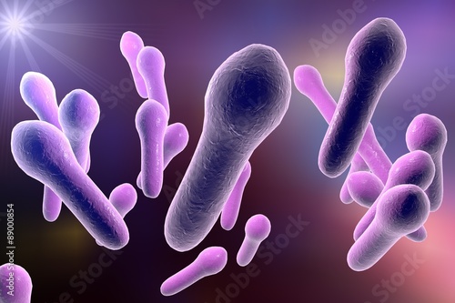 Microscopic illustration of Clostridium tetani, Clostridium perfringes, Clostridium difficile, model of bacteria, anaerobes, anaerobic bacteria © Dr_Microbe