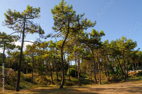 landes