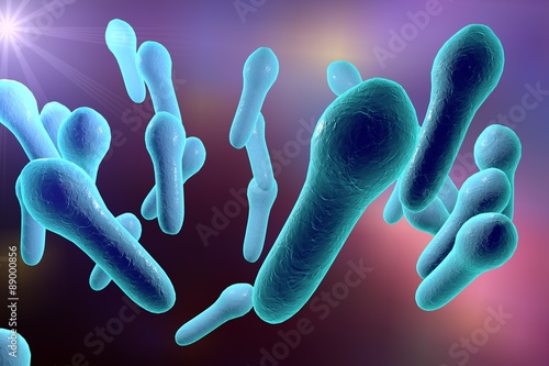 Microscopic illustration of Clostridium tetani, Clostridium perfringes, Clostridium difficile, model of bacteria, anaerobes, anaerobic bacteria © Dr_Microbe
