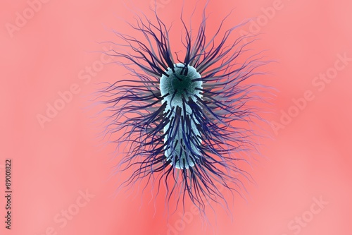 Microscopic view of Escherichia coli  Salmonella  enteric bacteria on colorful background  model of bacteria which cause diarrhea  illustration of microbe  microorganisms  rod-shaped bacteria