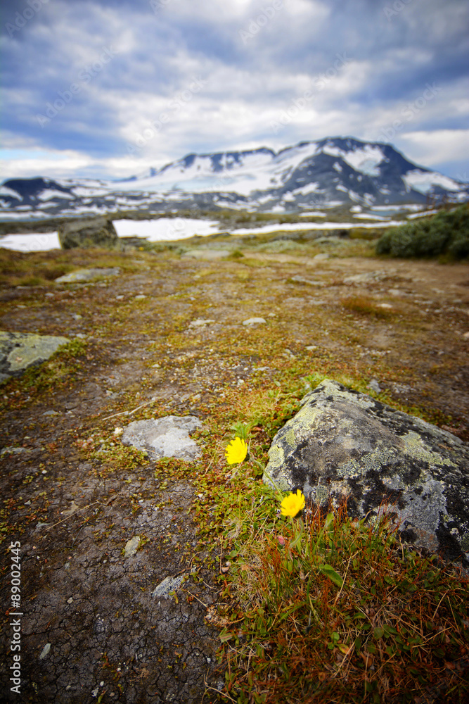 Jotunheim plateau, Norway