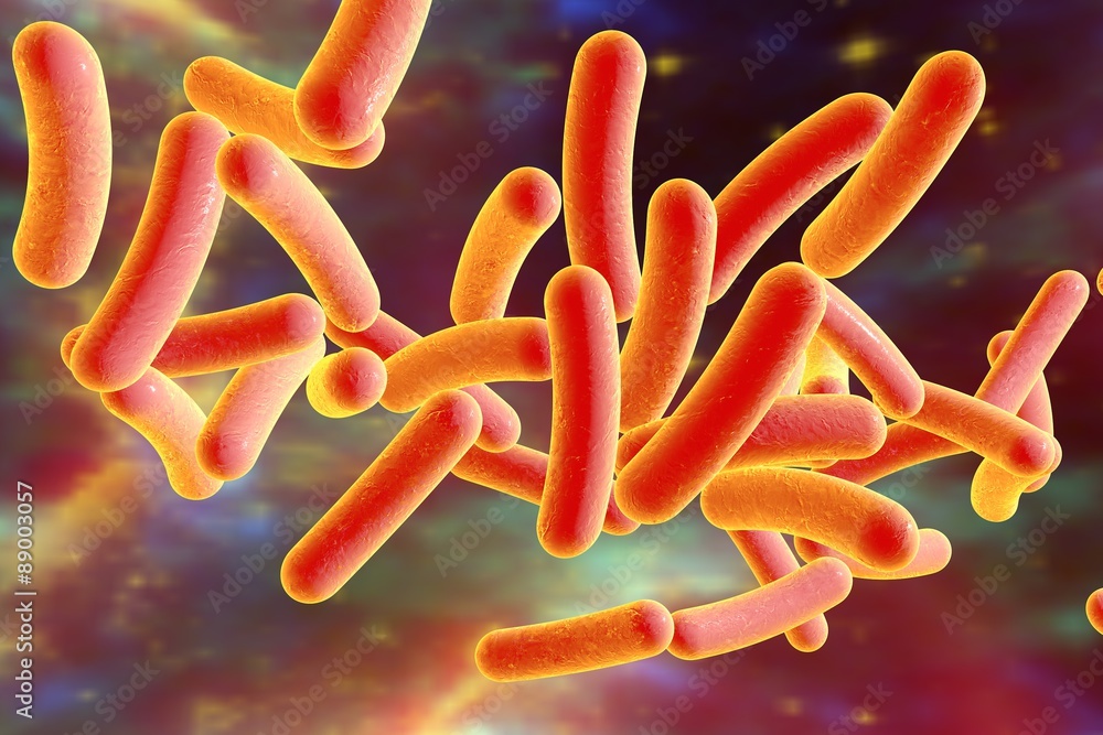Bacterium Legionella pneumophila on colorful background, model of