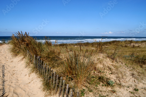 sentier