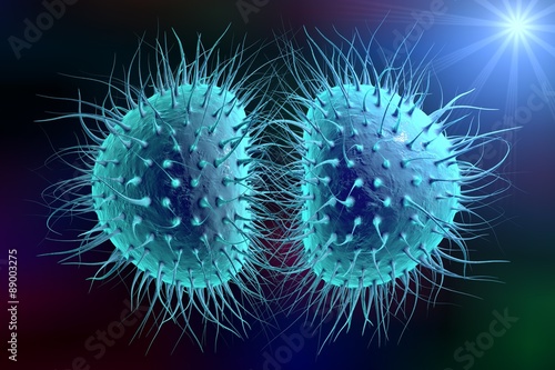 Digital illustration of bacteria Neisseria gonorrhoeae or Neisseria meningitidis  gonococcus and meningococcus on colorful background  closeup view