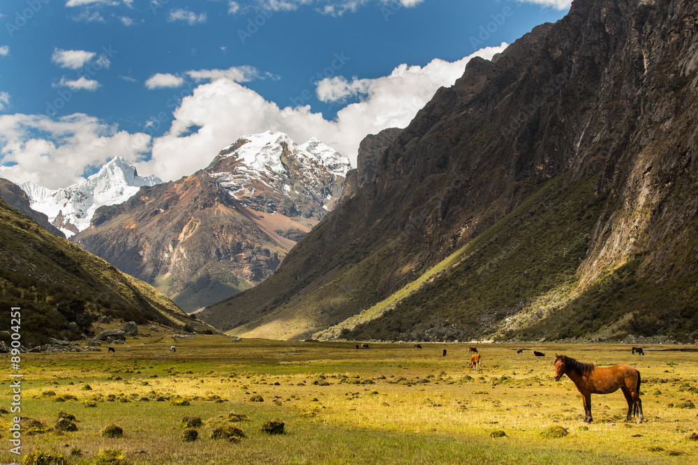 Fototapeta premium Beautiful mountain scenery in the Andes, Peru, Cordiliera Blanca