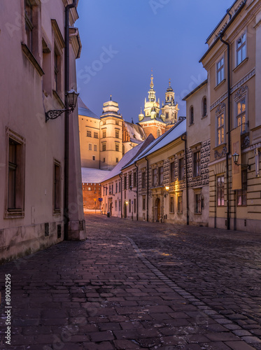 Krakow, Poland, Kanonicza street, part of the Royal Route, in the night, ending on the Wawel Hill with royal castle and cathedral. #89005295