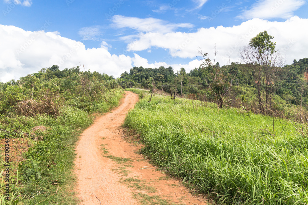 Pure nature in North Laos