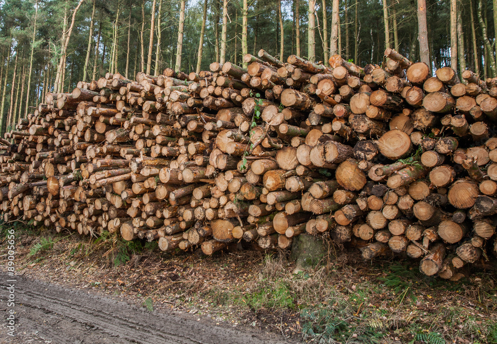 Logging in Derbshire Dales