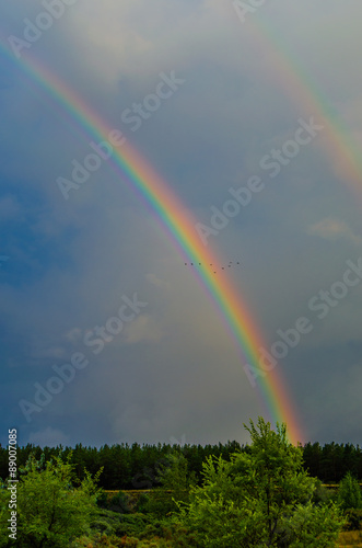 Fototapeta Naklejka Na Ścianę i Meble -  rainbow