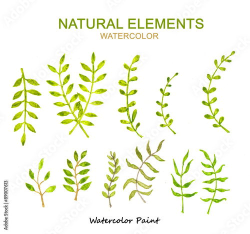 Natural Elements, Watercolor paint high resolution 