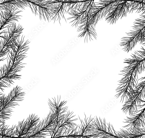 frame from pine black branches isolated on white
