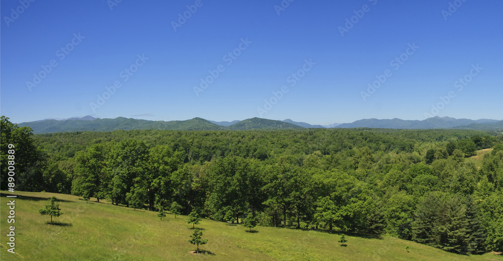 Panorama of the Blue Ridge Mountains in Summer